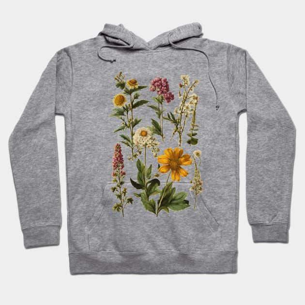 Wildflower  Botanicals Hoodie by Kelly Jenkins